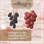 Collagen