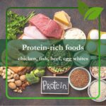 Protein-rich Foods