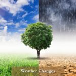 Weather Change