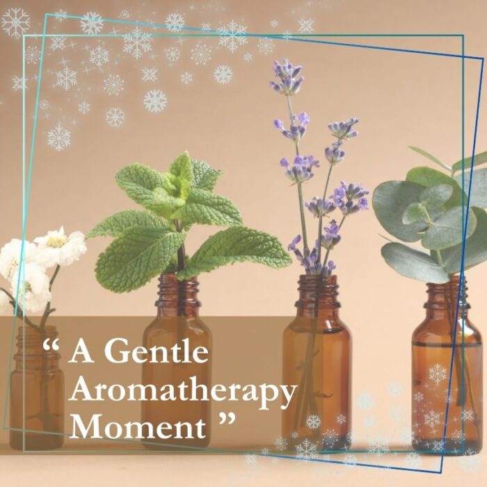 Mini Spa Aromatherapy