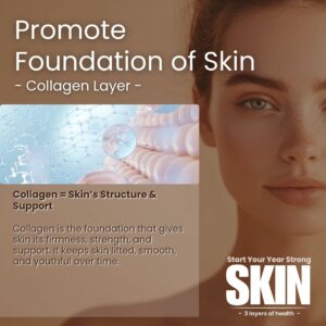 Collagen Layer - Promote