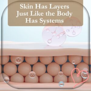 Skin Layers